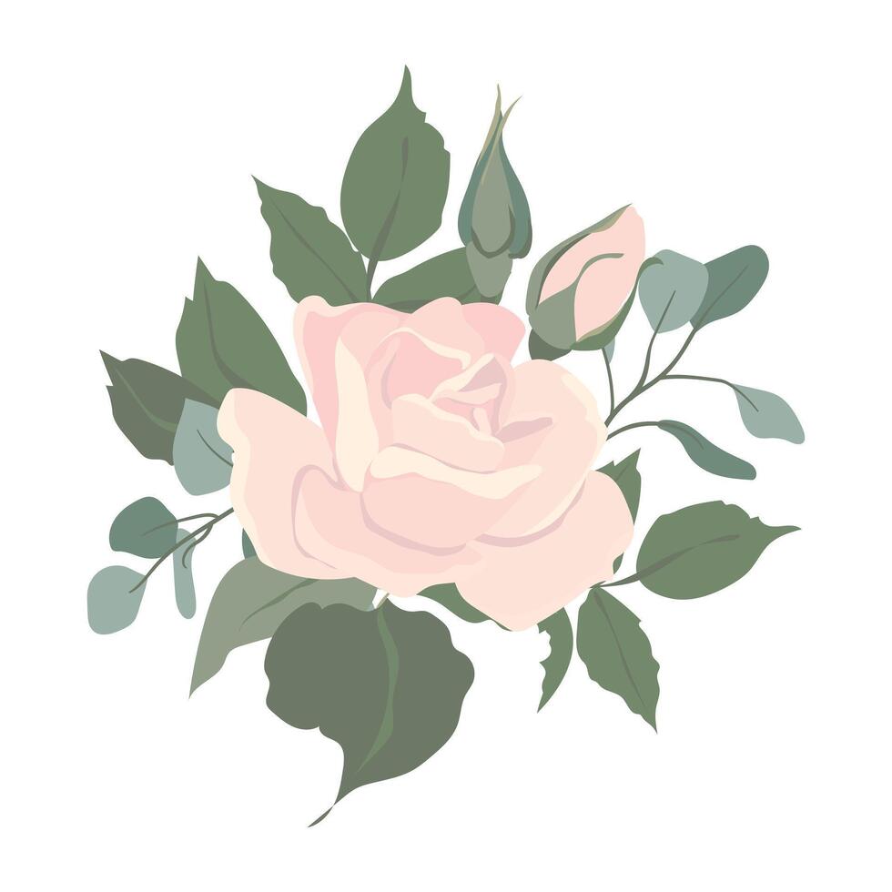 Light pink roses and eucalyptus branches bouquet. Composition of beautiful flowers of different shapes, buds and blossoms isolated on background. floral illustrations in cardboard flat style. vector