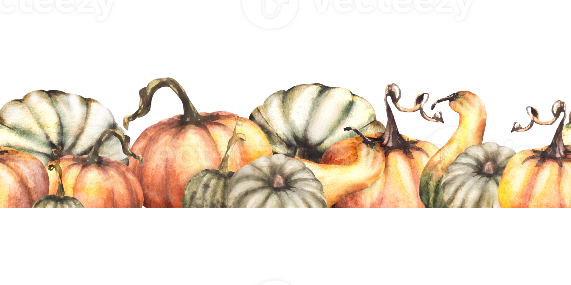 Vegetable seamless pumpkins autumn border, pattern. Isolated from background. Watercolor illustration. Hand drawn harvest repeating horizontal design for thanksgiving cards, halloween wrapping, label png