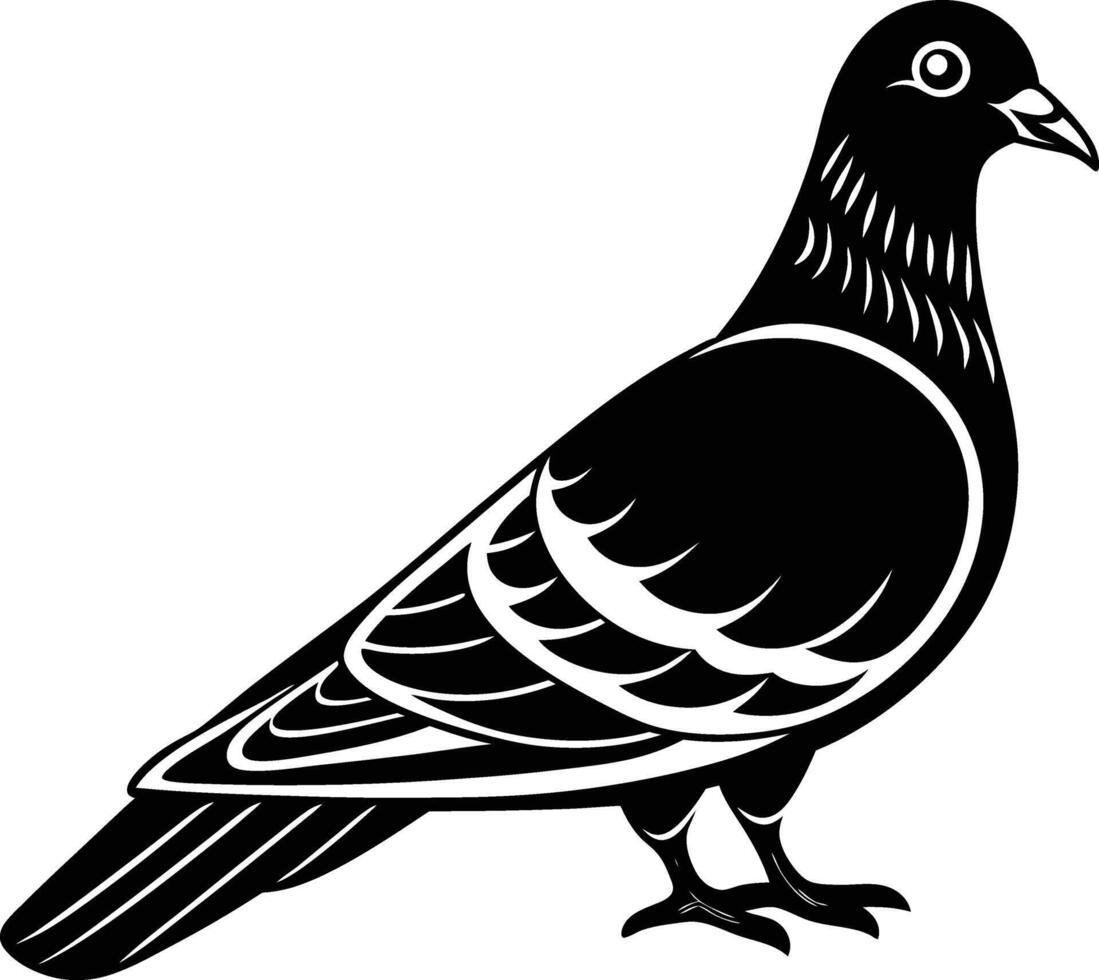 pigeon creative minimalist illustration vector