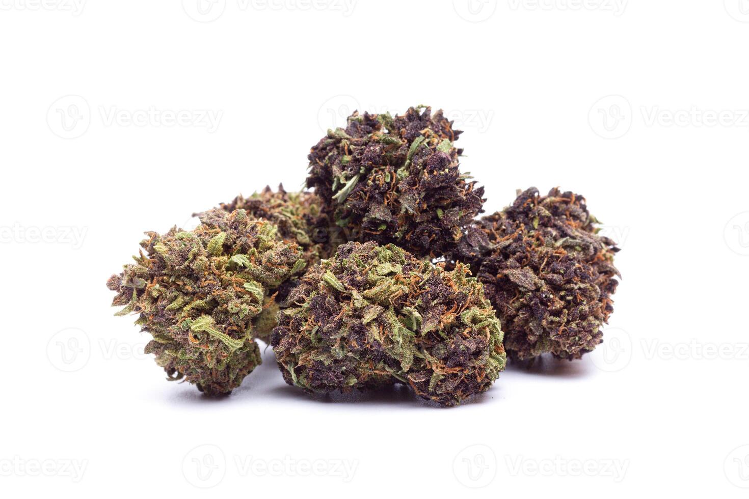 Marijuana flowers isolated on white background photo