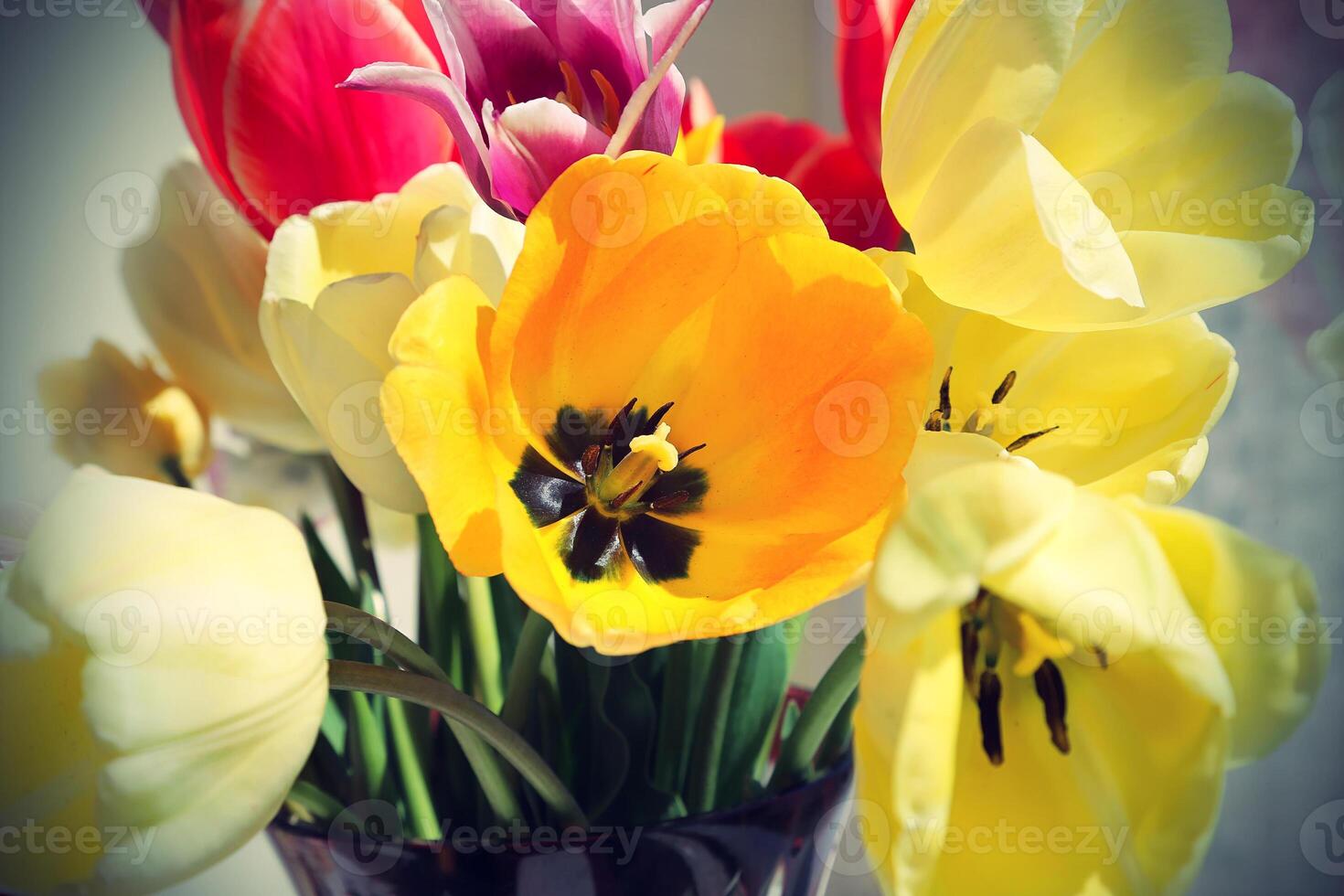 Bouquet of colorful spring tulips photo