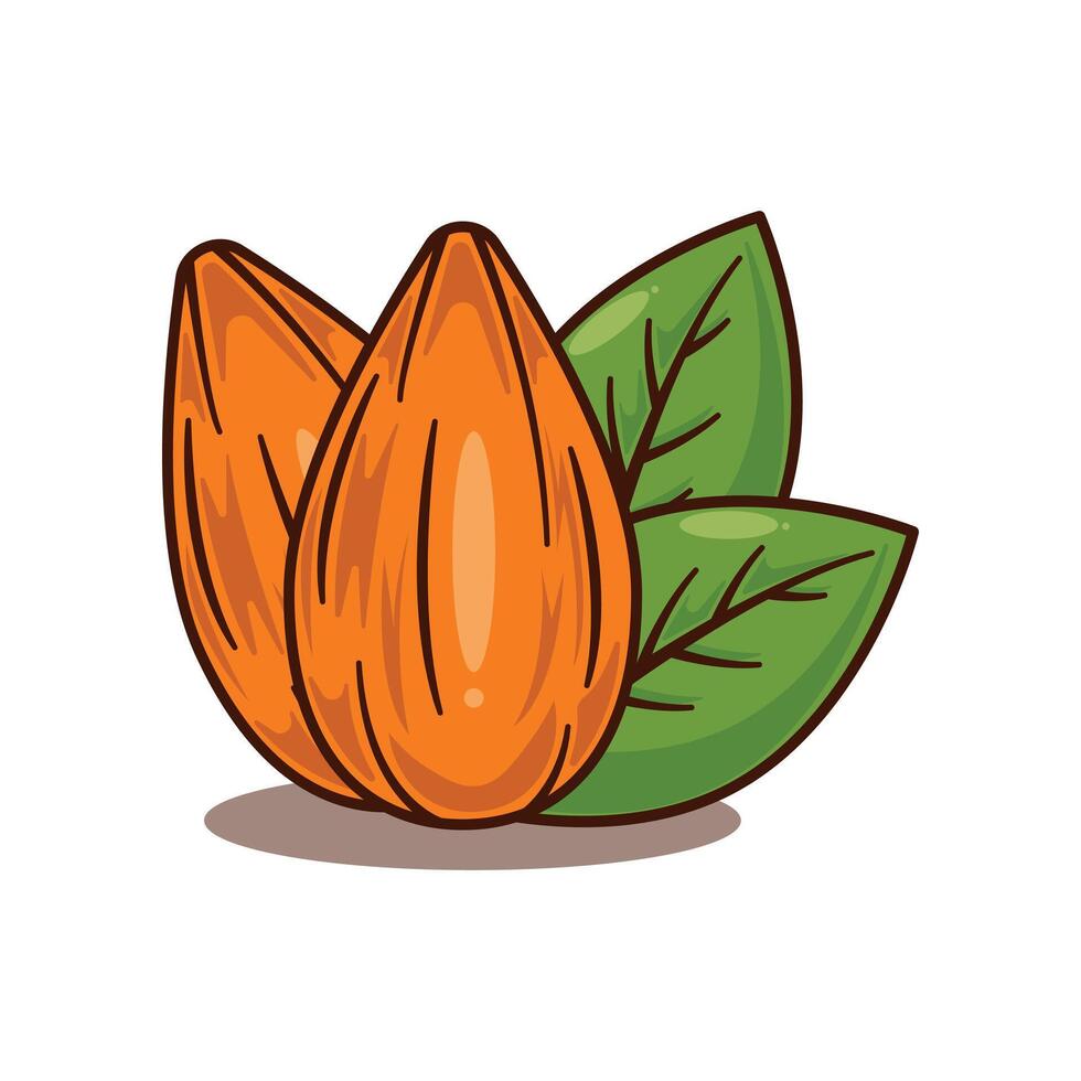 almond bean - cartoon illustration vector