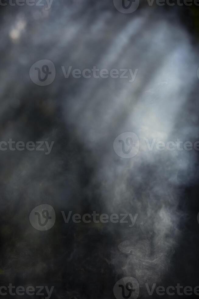 Smoke in the forest. Smoke in the sunlight. The texture of the fog. photo