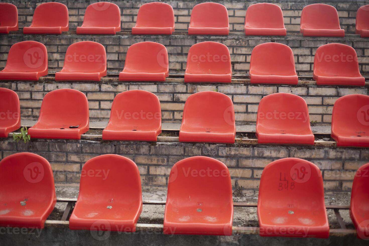 Sports stand. Empty seats in the stadium. Chairs in the stadium. photo