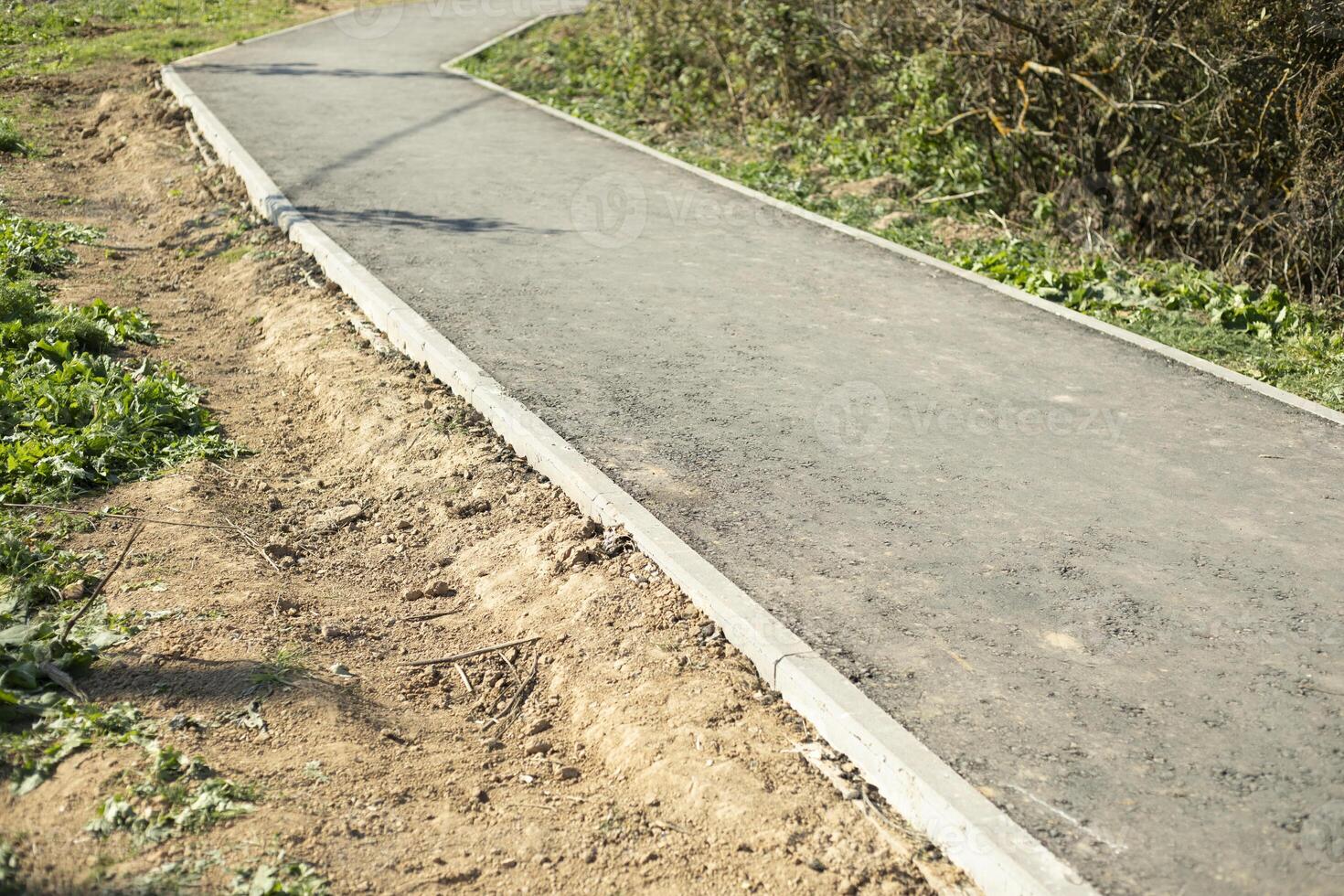 New path in the park. Asphalt path. Empty path. Thin borders. photo