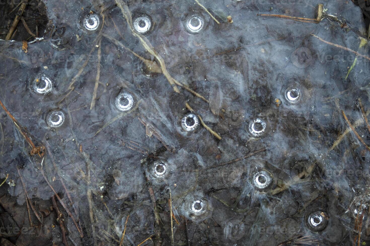 Air in ice. Round ice. Details of nature. photo