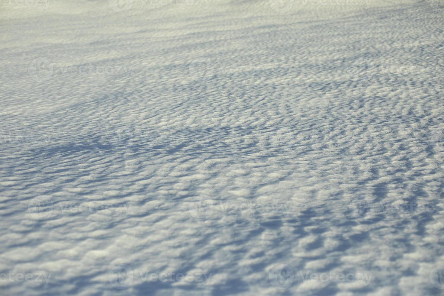 The texture of the snow. Snowy field. Thawed surfaces. photo