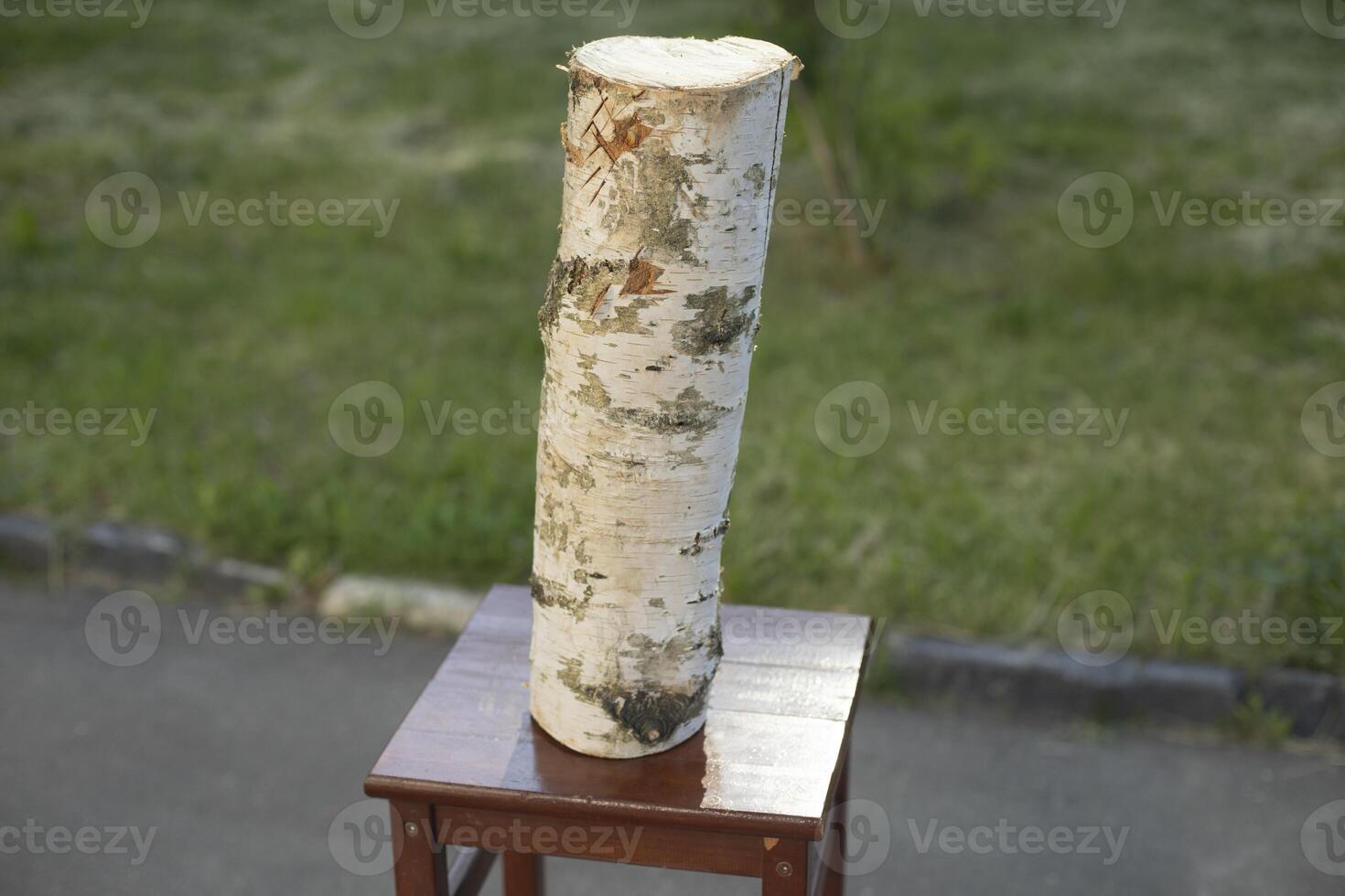 Birch log. Log for felling. Firewood. photo