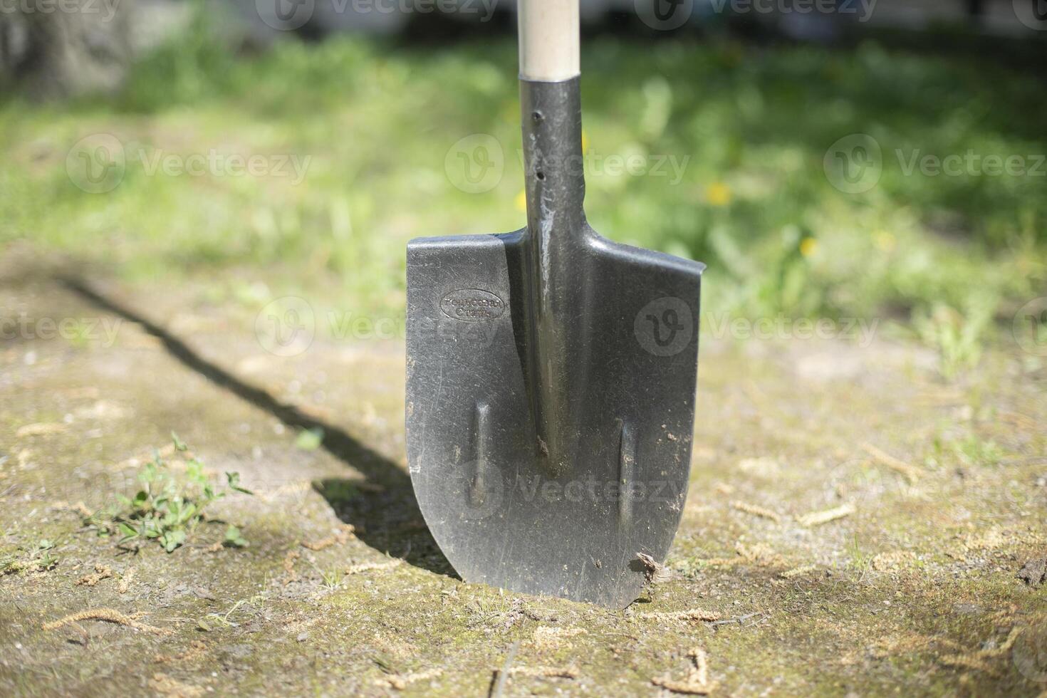 Shovel in ground. Tool of gardener. Garden shovel is stuck in ground. photo