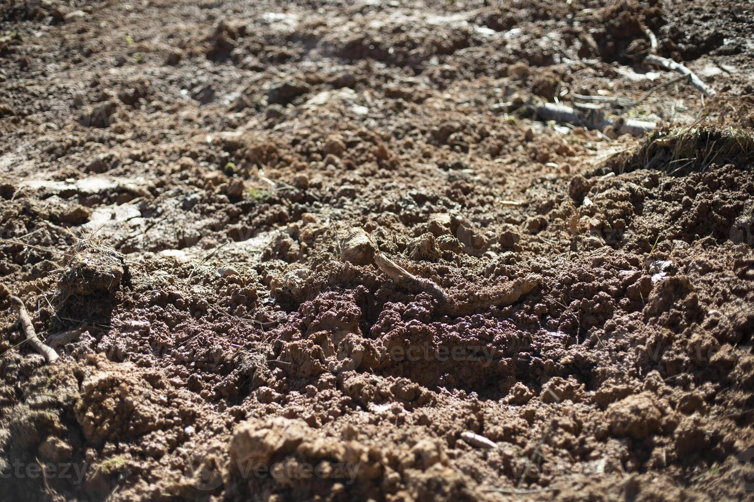 Excavated soil. Broken land. Texture of mud. Clay and soil. photo
