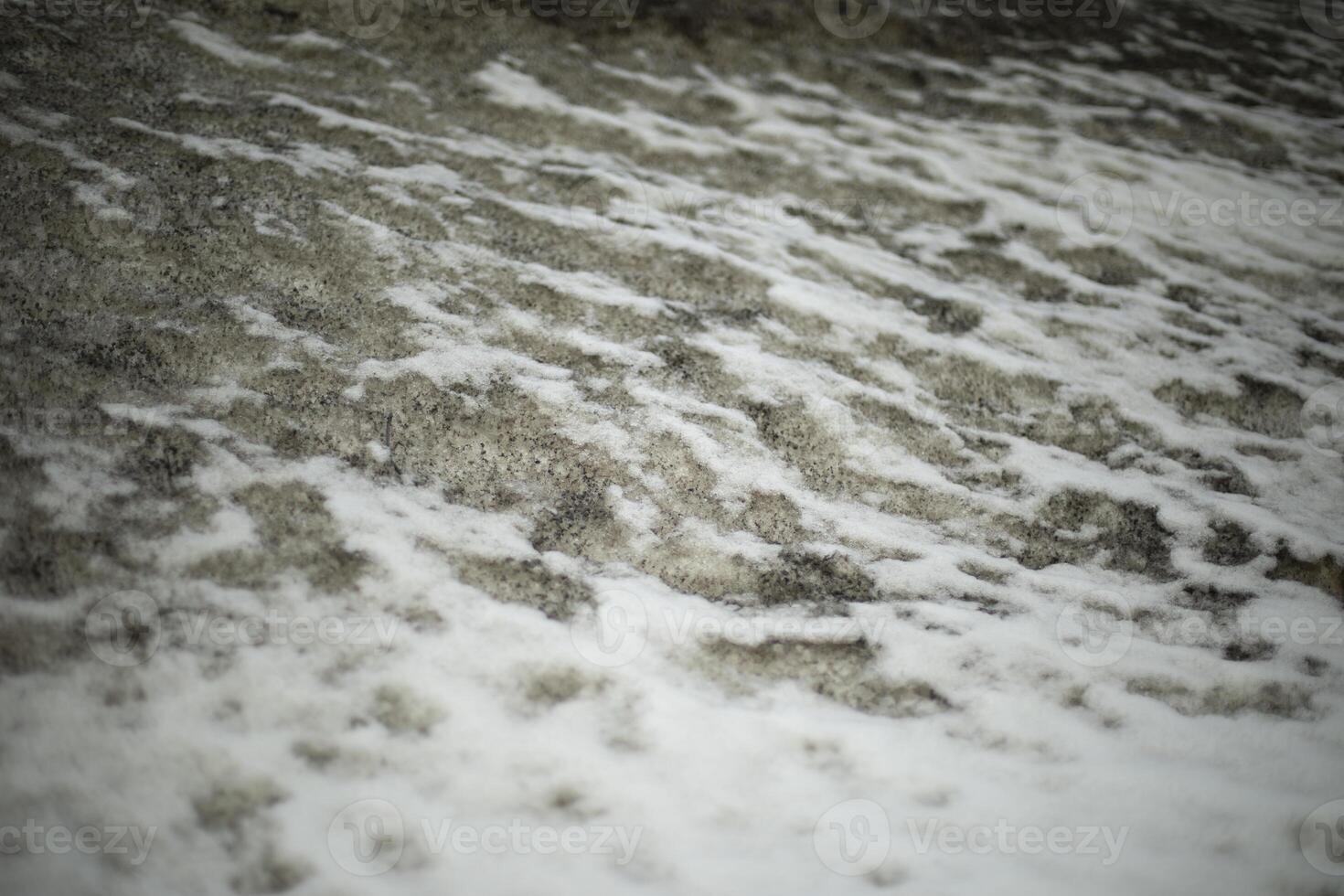Texture of dirty snow. Side of road in winter. Gray and white. photo