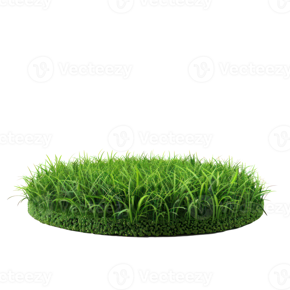floating thin round podium of green grass isolate on transparency background png