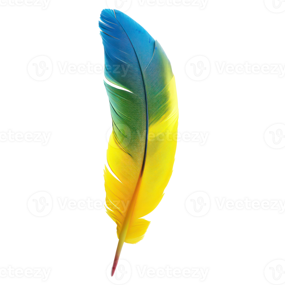 floated macaw parrot feather isolate on transparency background png