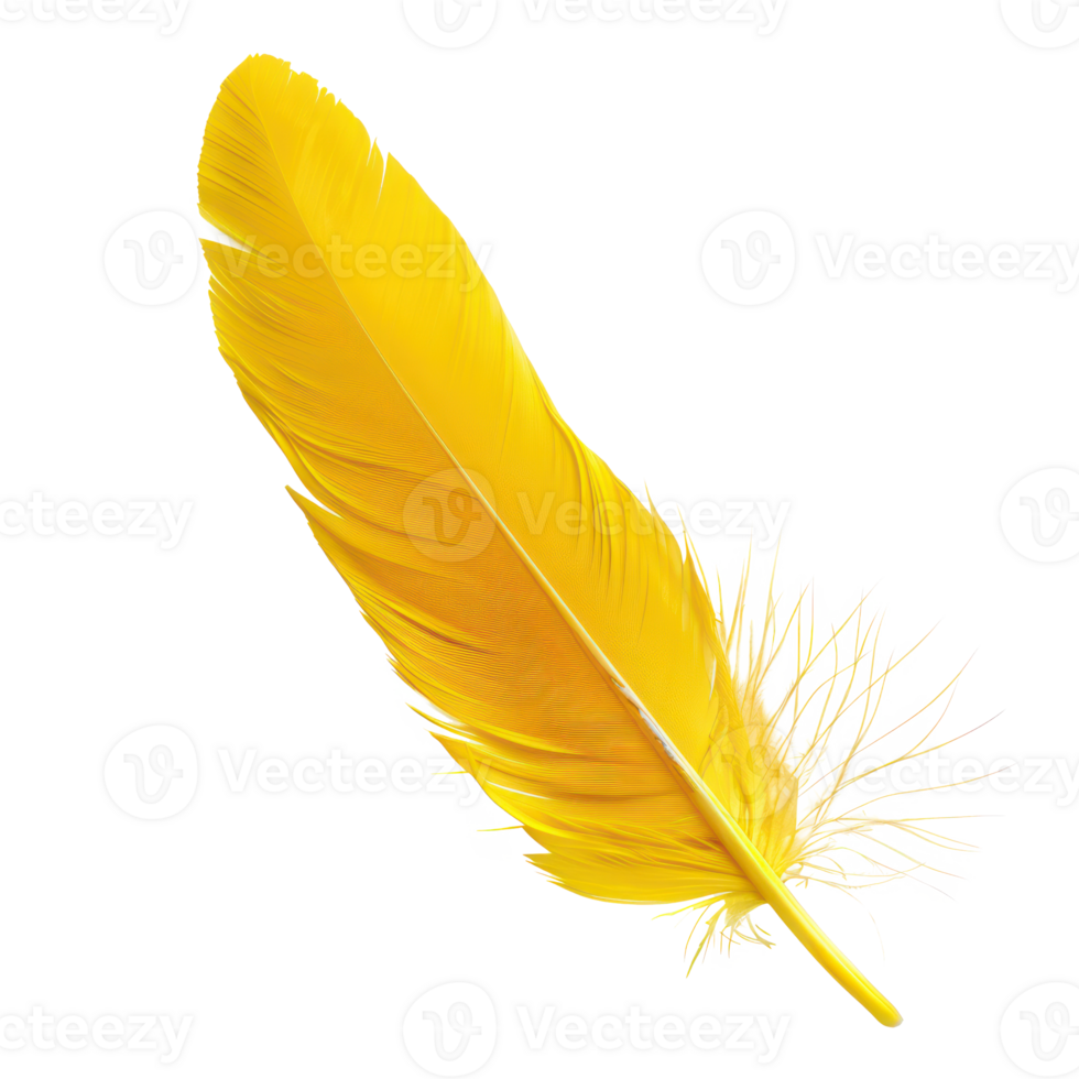 floated yellow feather isolate on transparency background png