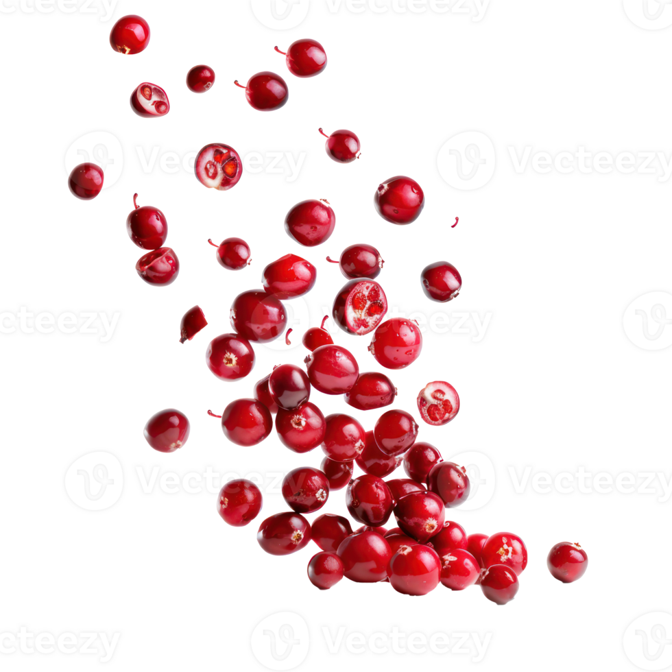 Falling Cranberries and slices isolate on transparency background png