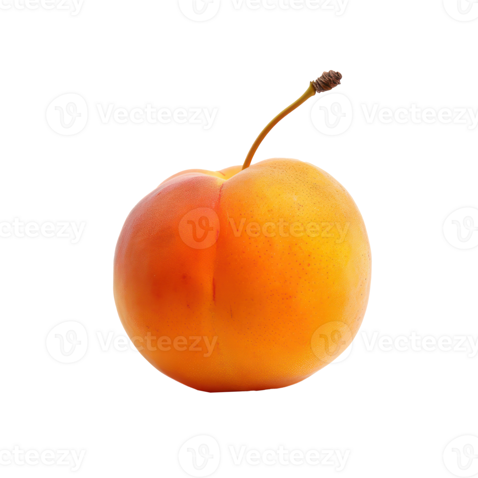 Apricot side view full length isolate on transparency background png