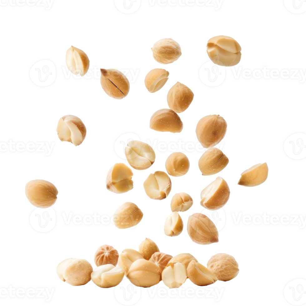 Falling Macadamia Nuts isolate on transparency background png