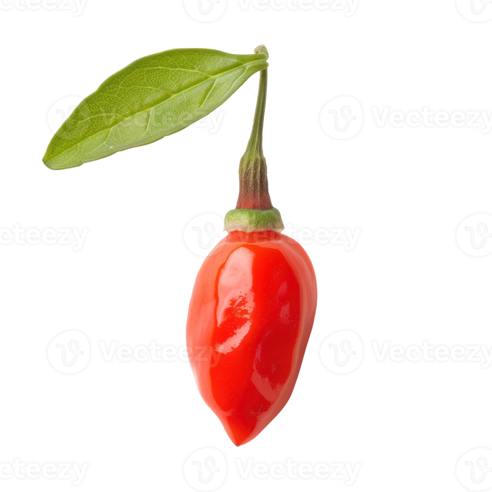 Closeup of a Goji Berry isolate on transparency background png