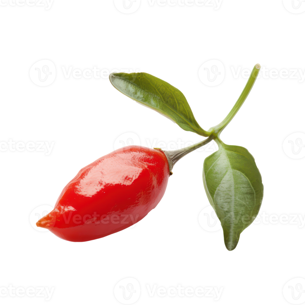 Closeup of a Goji Berry isolate on transparency background png