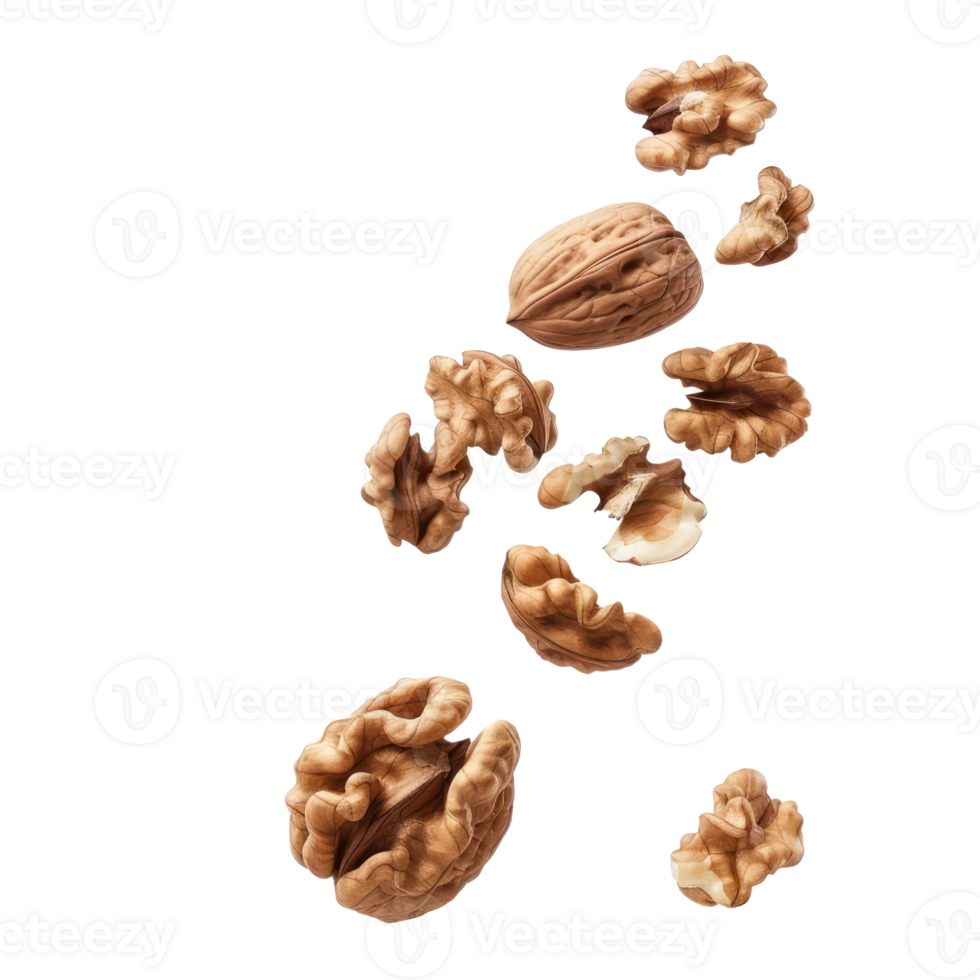 Falling walnuts isolate on transparency background png