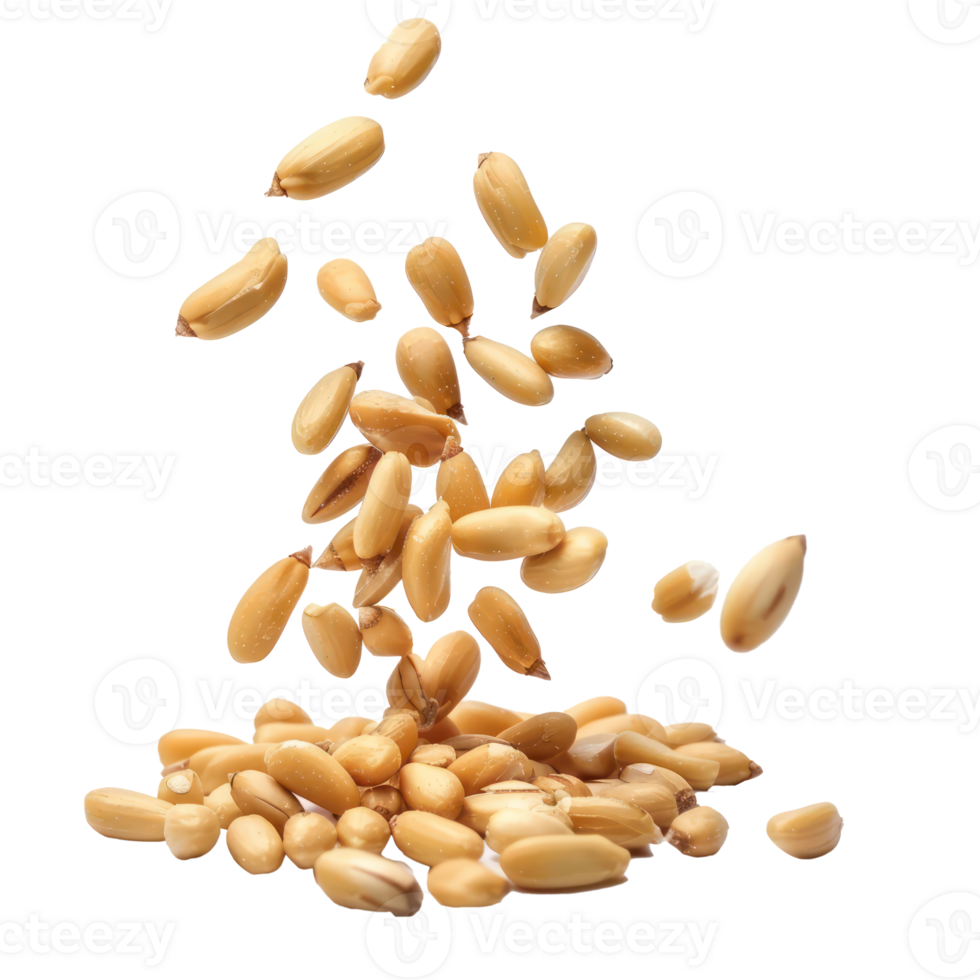 Falling Pine Nuts isolate on transparency background png