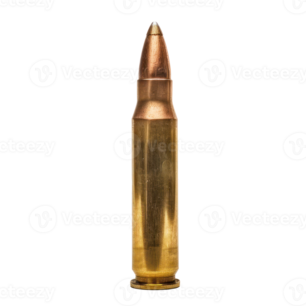 Bullet gun front view full length isolate on transparency background png