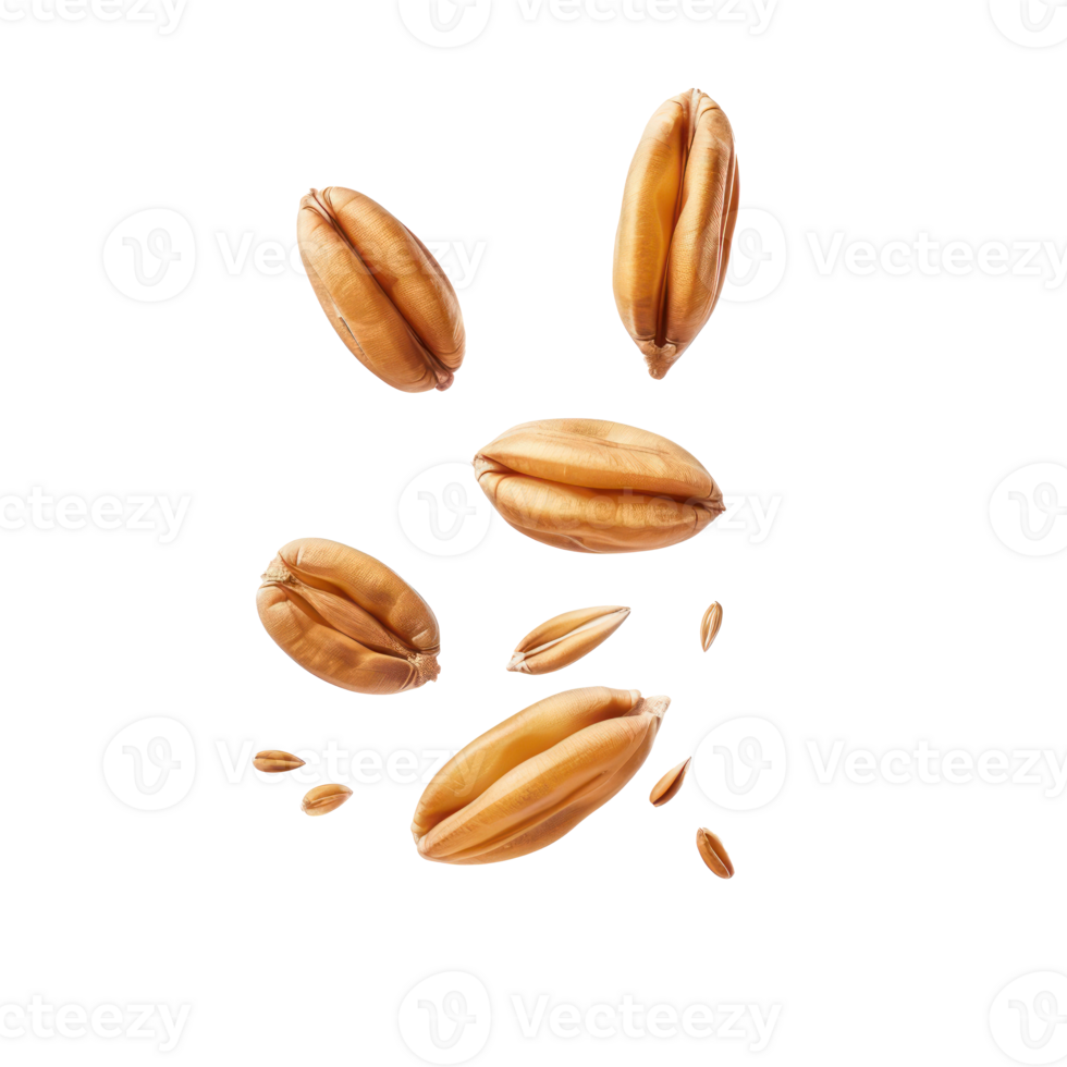 floating peeled ripe wheat seed isolate on transparency background png