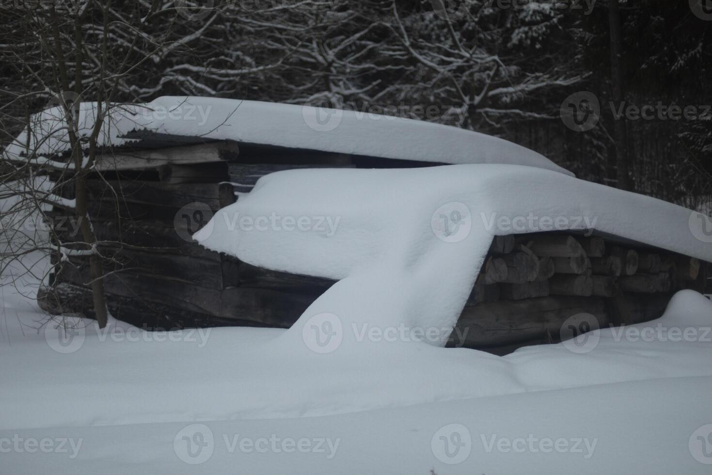 Deep snow in the forest. Snowdrift in nature. Forest in winter. photo