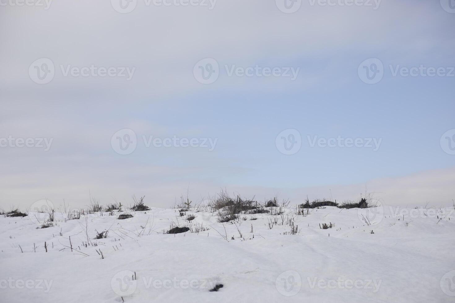 Winter landscape. Field in the snow. Felling in winter. Empty space. photo