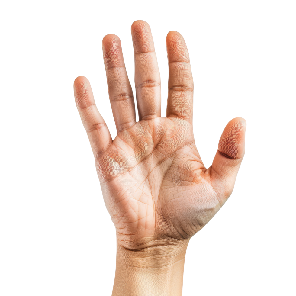 Open Hand Palm Up png