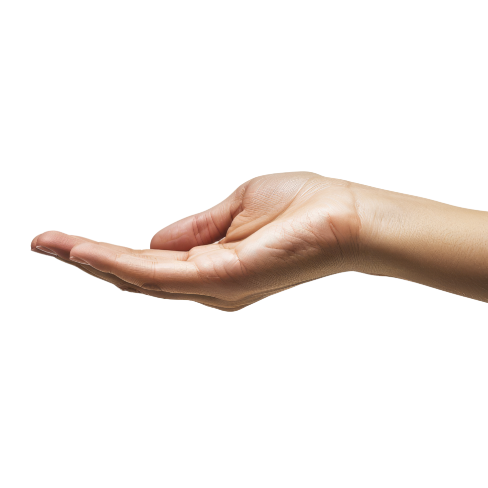 Open Hand Palm Up png