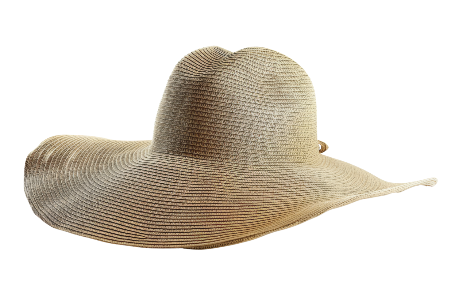 Straw Hat Isolated png