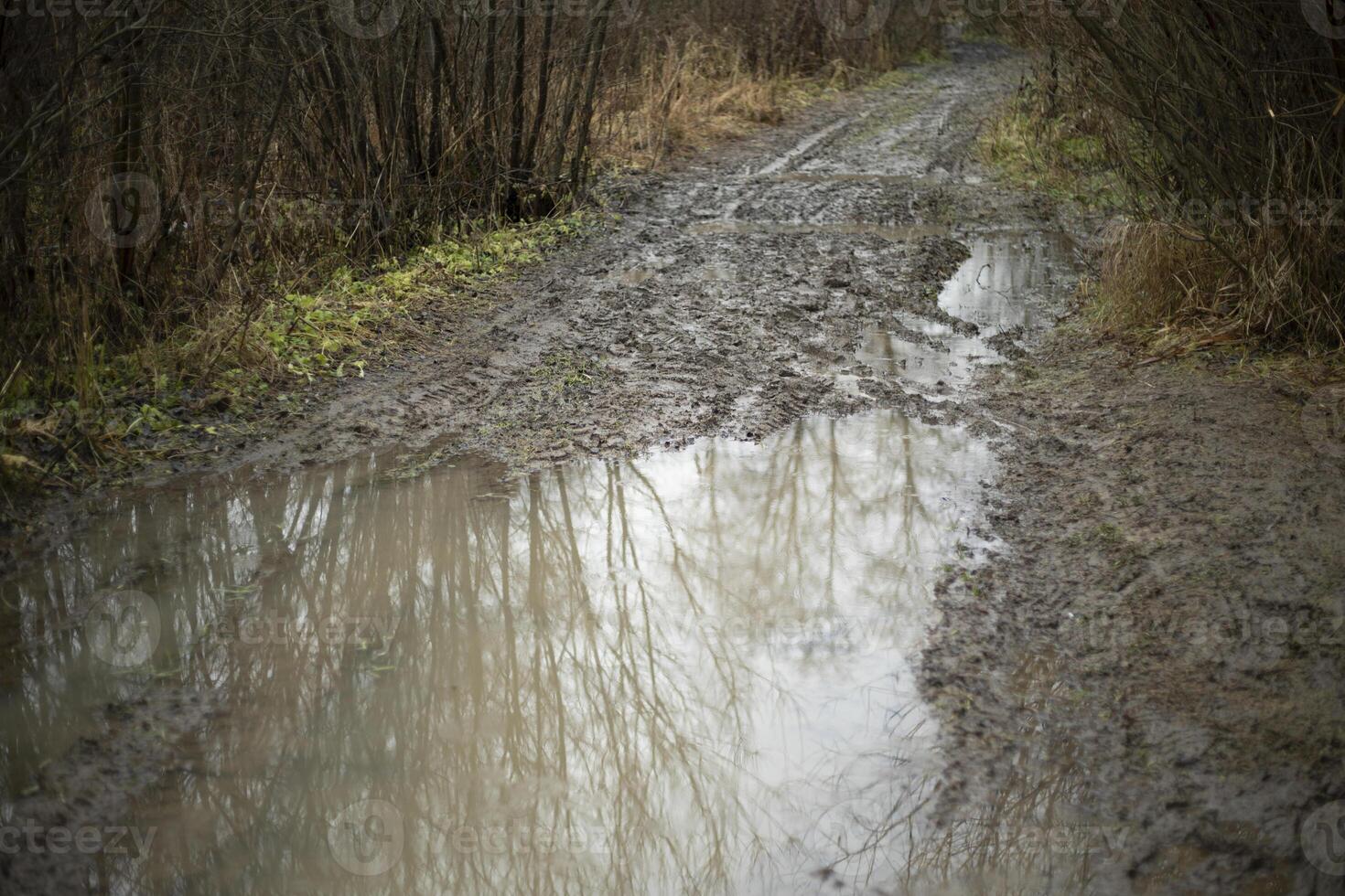 Dirt path. Path in the rain. Dirt on the road. photo