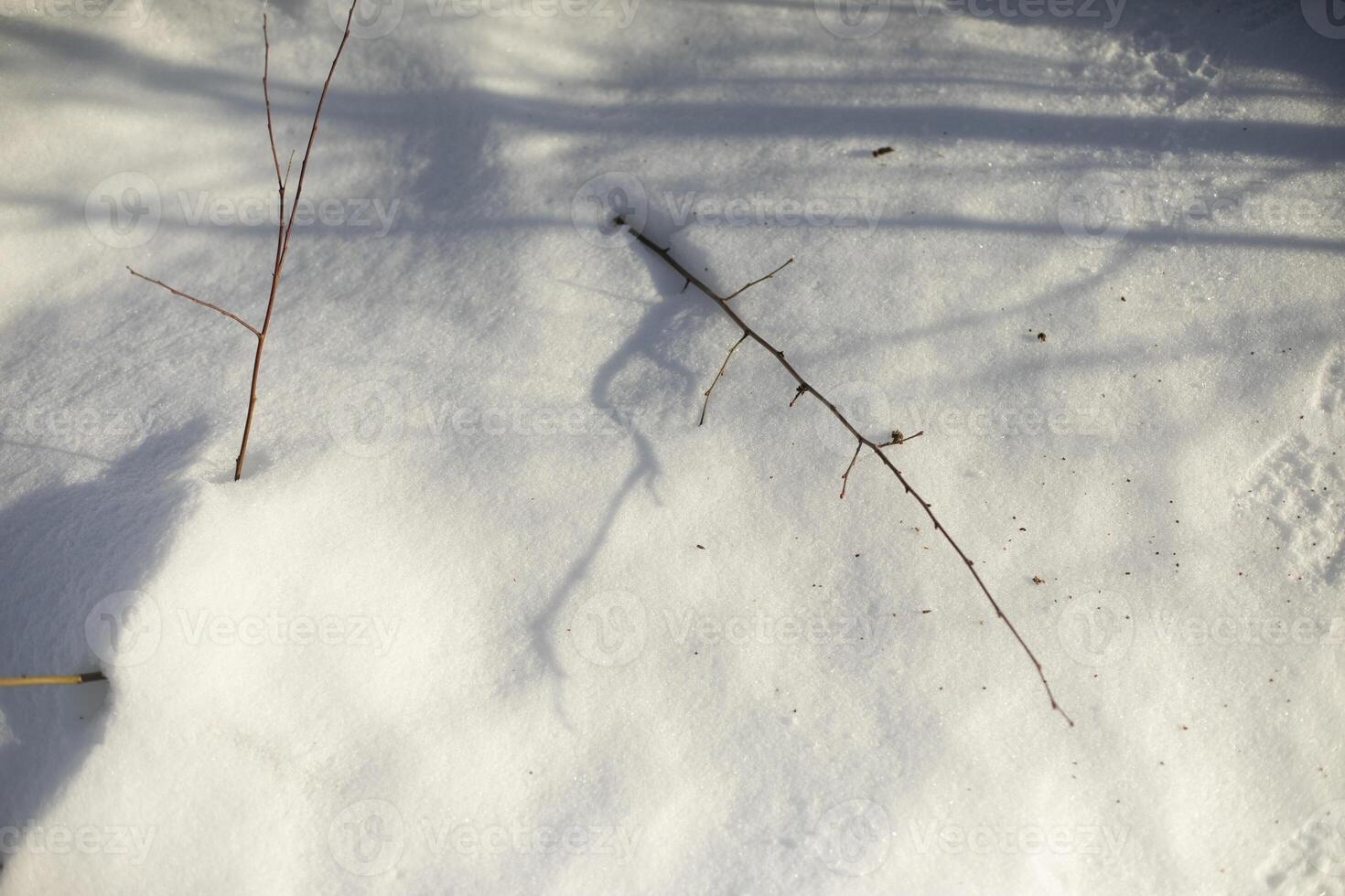 Snow-covered field. Thawed patches in the snow. Lots of snow on a sunny day. photo