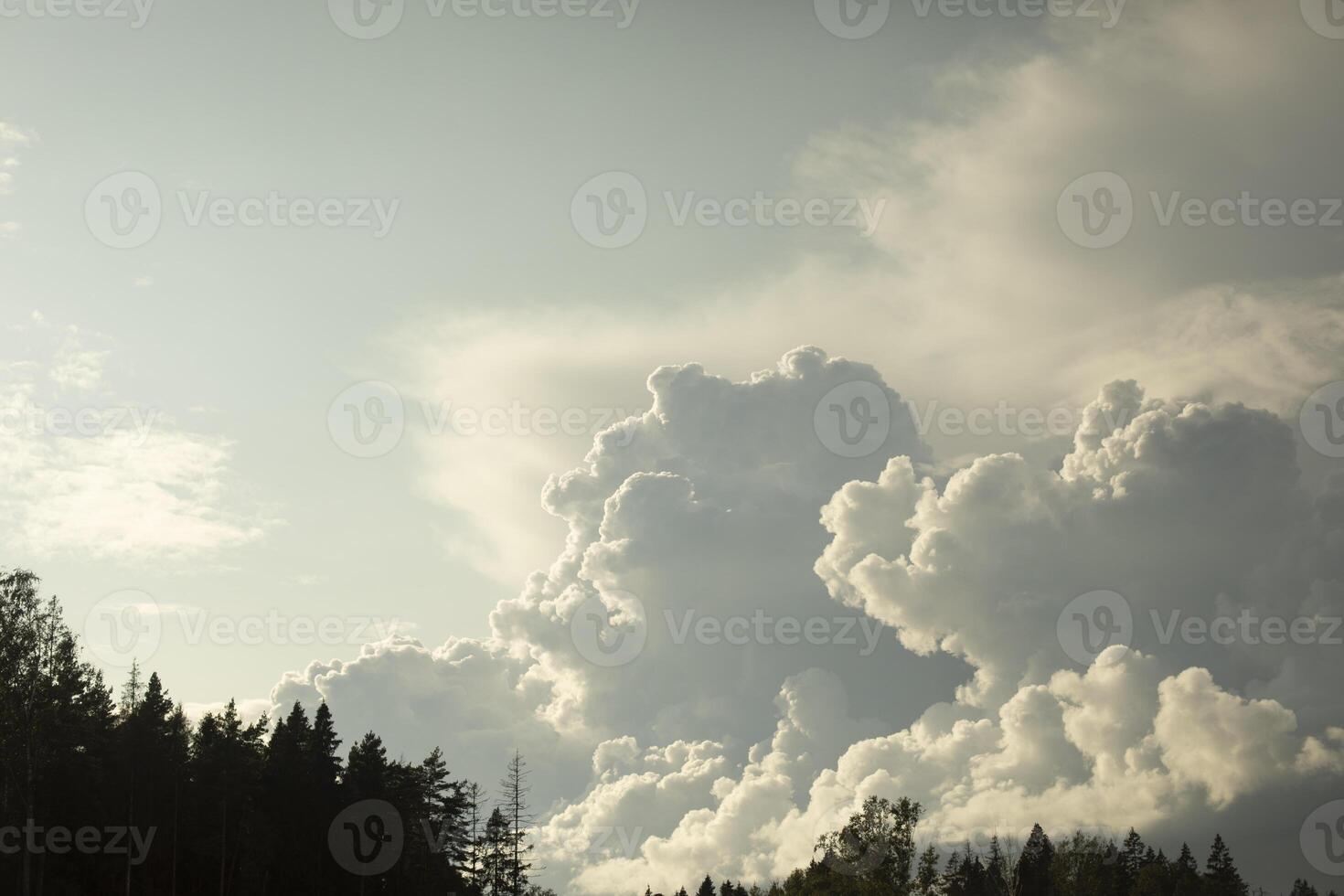 Grandiose clouds in sky. Storm clouds over forest. Beautiful scenery in summer. photo
