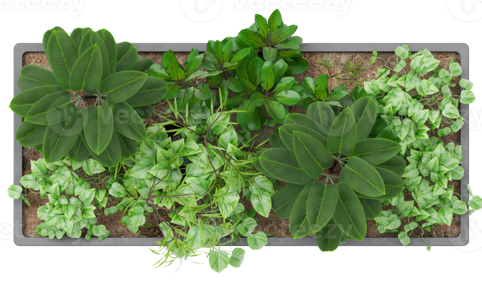 Top view of rectangular plant pot featuring lush green foliage and decorative plants. On transparent background. Ideal for use in architectural floor plans, garden design, landscaping projects. 3D. png