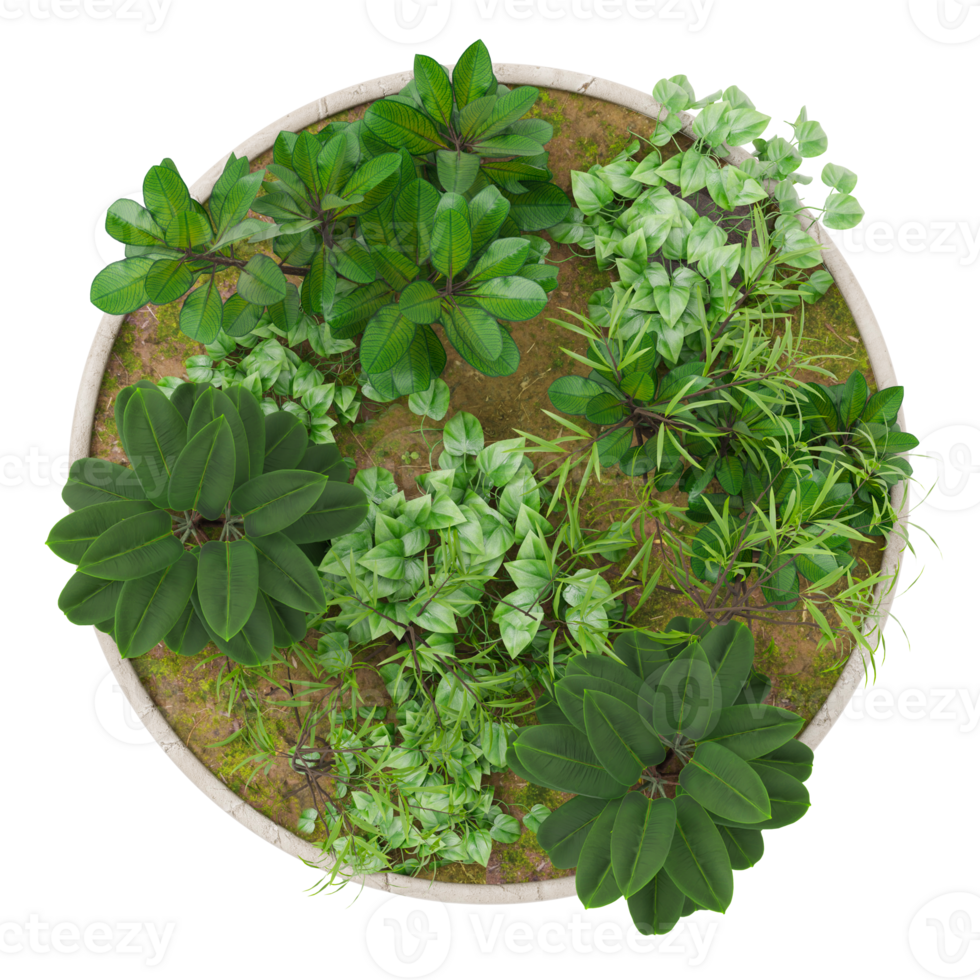 Top view of round plant pot featuring lush green foliage and decorative plants. On transparent background. Ideal for use in architectural floor plans, garden design, and landscaping projects. 3D. png