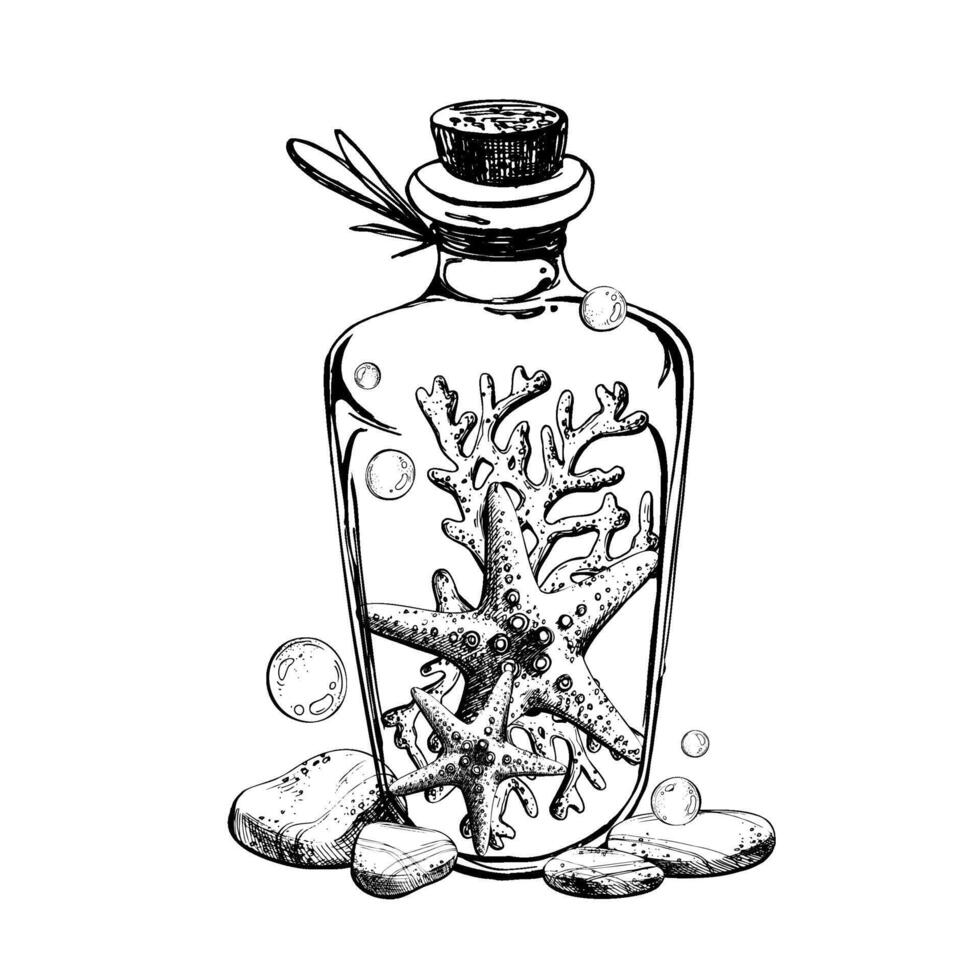 Starfish and corals inside glass bottle jar with cork sea pebbles and water bubbles. Hand drawn graphic illustration in black and white color line art. Sublimation arrangement on marine theme vector