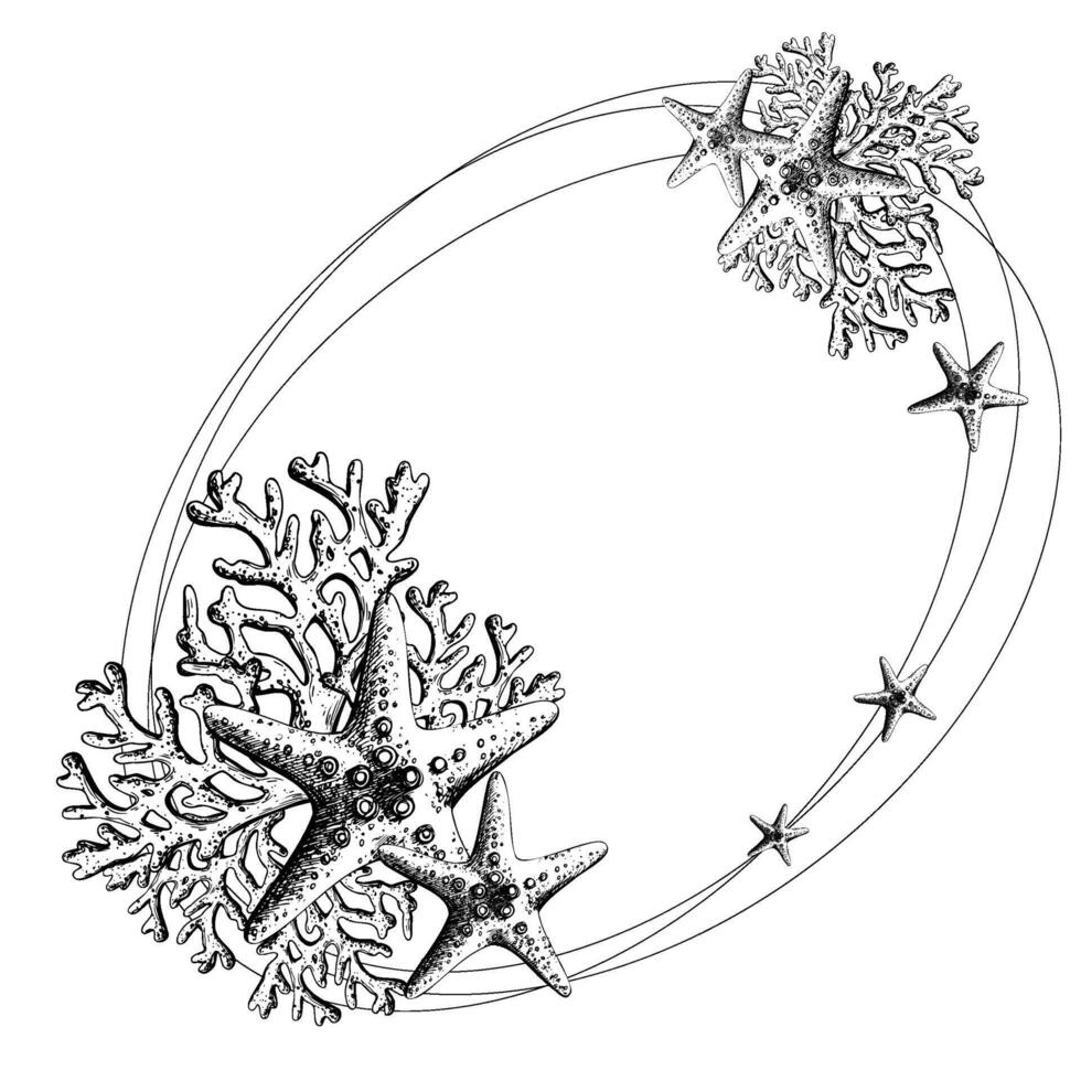 Starfish with coral branches. Hand drawn graphic illustration in black and white color line art. Oval frame, wreath, text placeholder on a marine theme vector