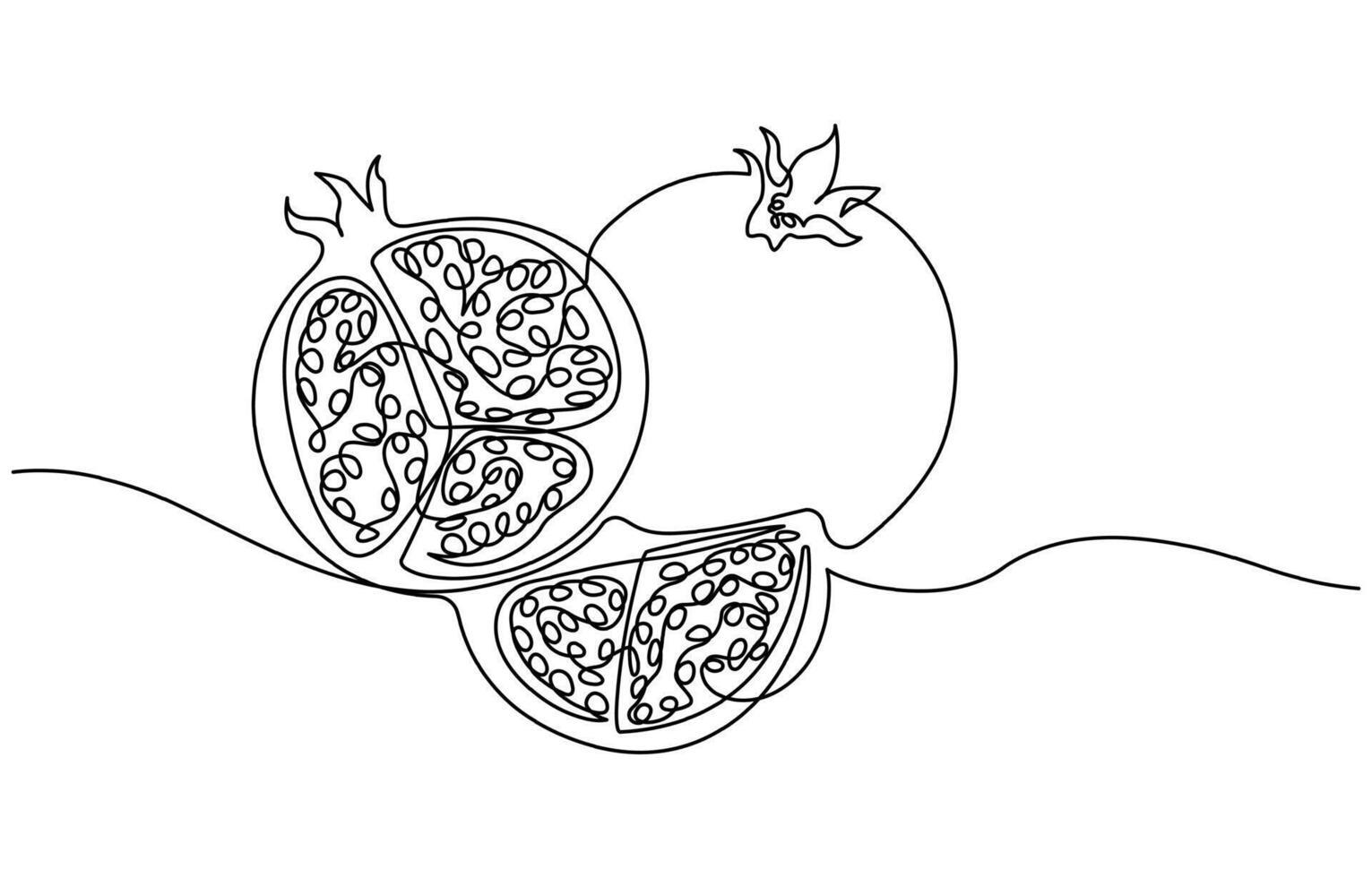 Pomegranate in Continuous single one line drawing vector