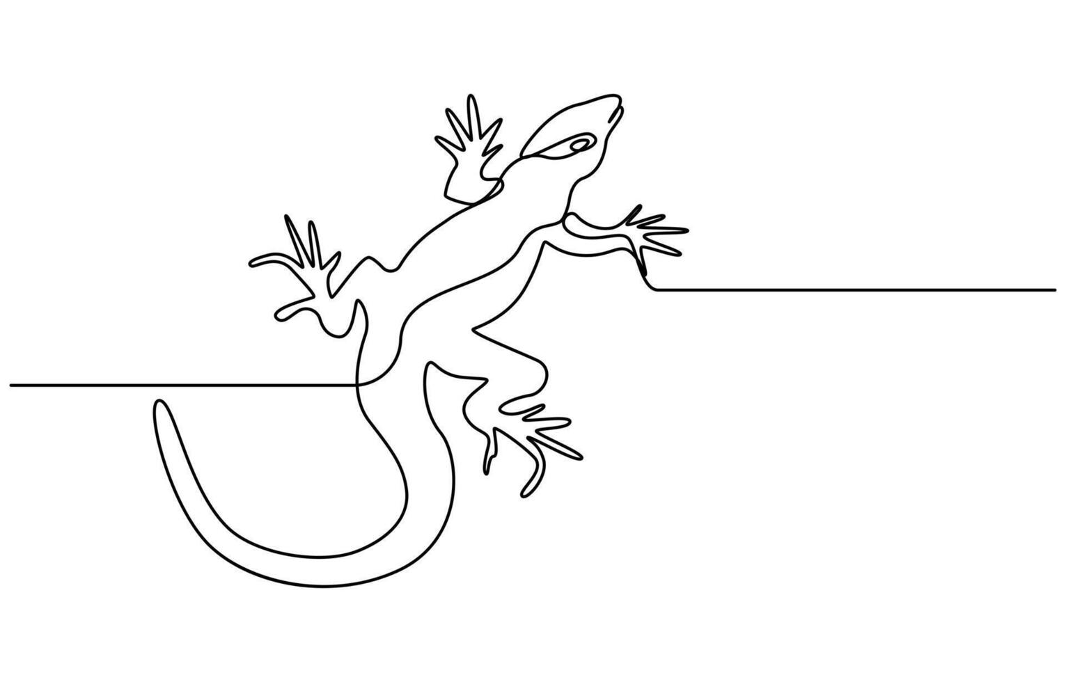 Line art Lizard isolated on transparent vector