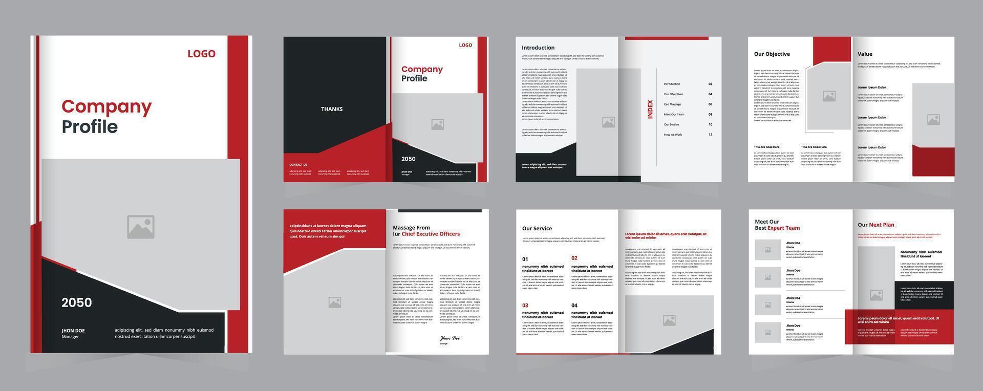 company profile, clean and creative template, layout for any project purpose vector