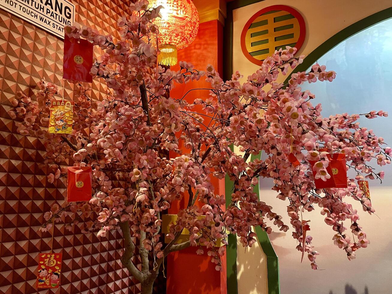 Selective focus of blooming tabebuya flowers that resemble cherry blossoms decorate the palace. photo