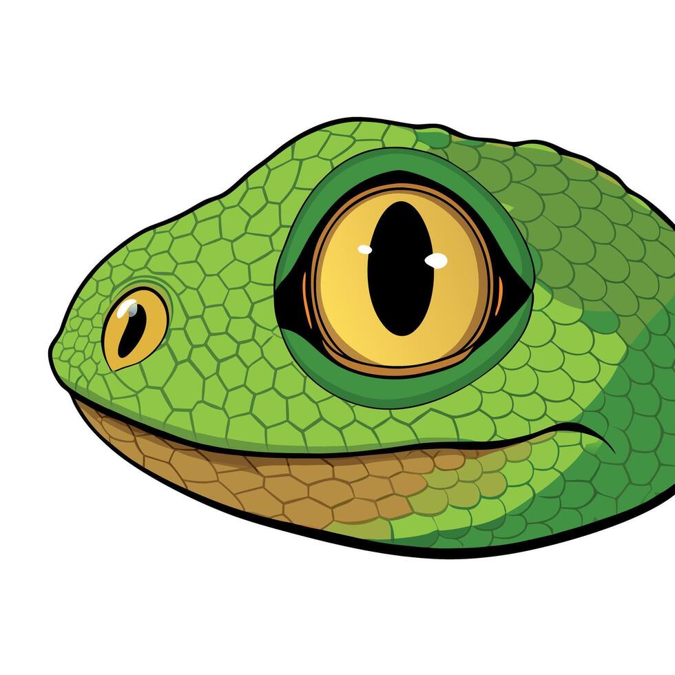 A cartoon green lizard head with big eyes vector