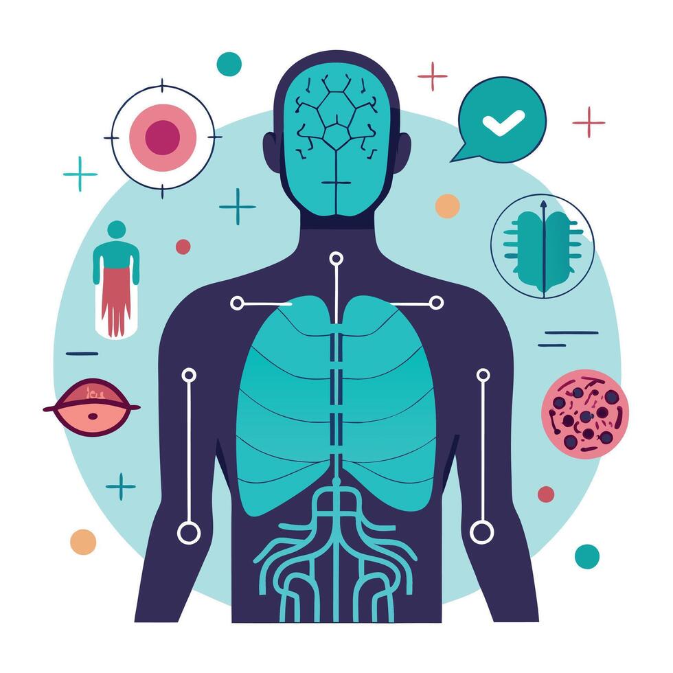Human body with organs and other medical icons vector