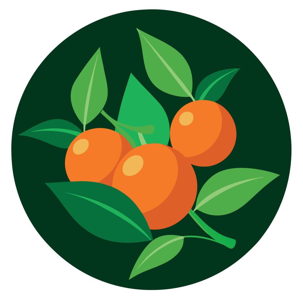 Orange fruit with leaves and green leaves illustration vector