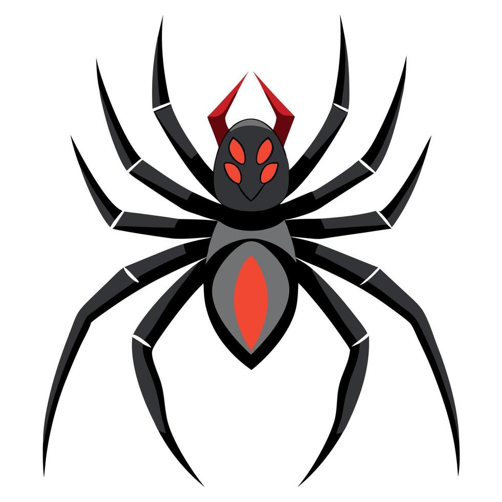 Black widow spider vector