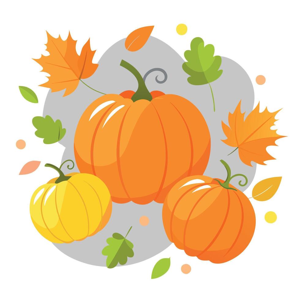 Top view of orange pumpkins and autumn leaves on gray background vector