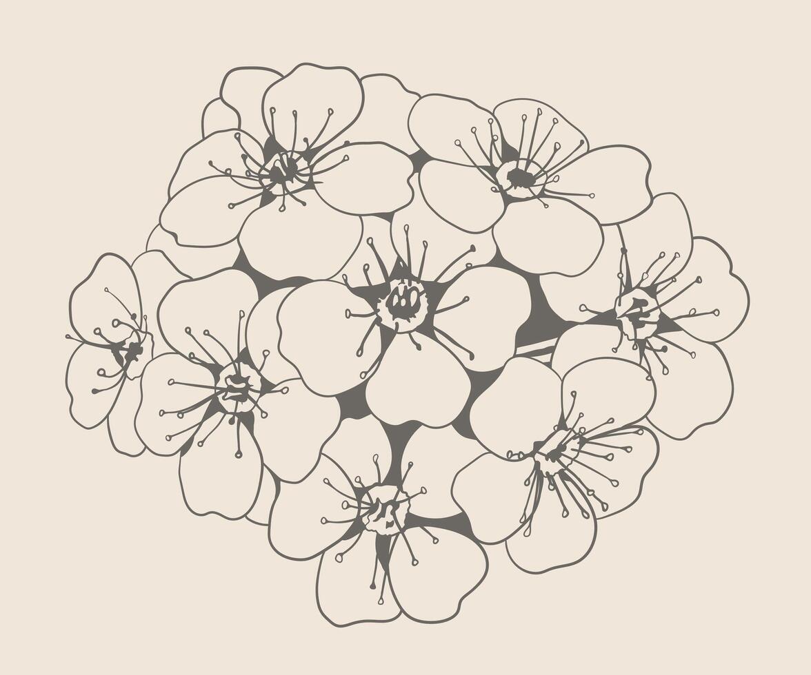 Flower illustration art design. Floral hand drawing nature decor. Vinatage garden sketch. vector