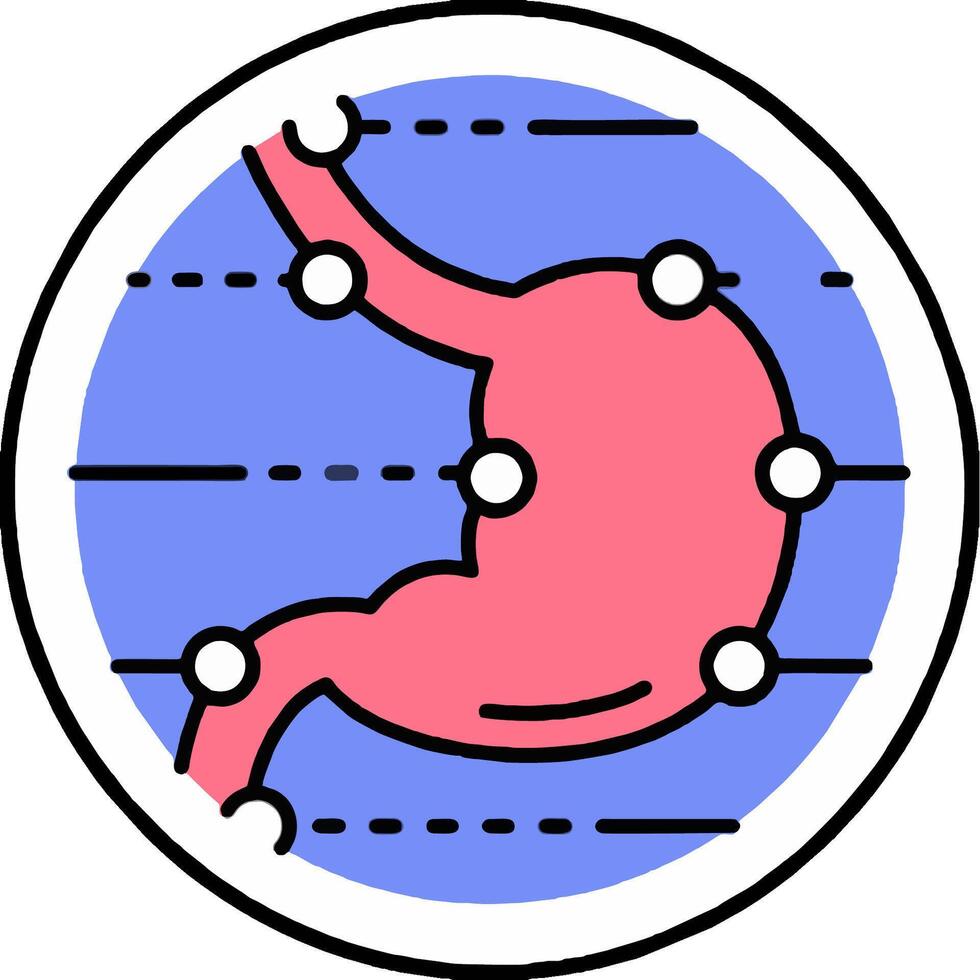 An illustration of the stomach and its location vector